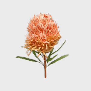 Banksia Beige