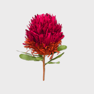 Banksia Magenta Pink