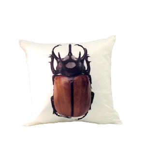 BETTLE BROWN SQUARE Cushion Cover