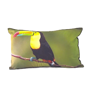 BIRD QUORA Cushion Cover