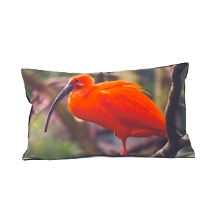 BIRD RED IBIS Cushion Cover