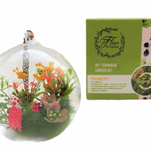 BUZZY BEE: DIY Terrarium kit