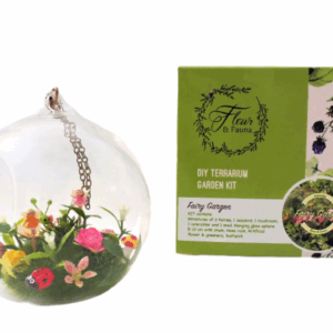 FAIRY GARDEN: DIY Terrarium kit
