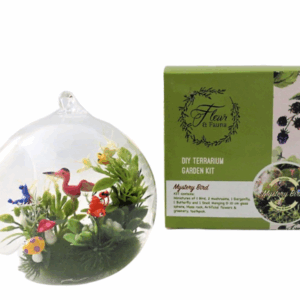 Fluttery wings DIY Terrarium kit