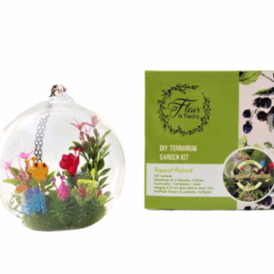 TROPICAL PEACOCK: DIY Terrarium kit