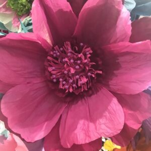 Magenta Pink Moonlight