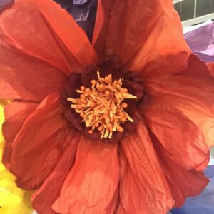 Orange Moonlight paper