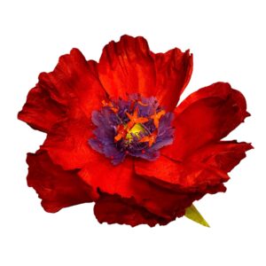 ORANGE: Dancing paper flower