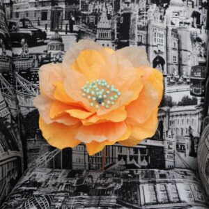 APRICOT: Sakura Paper Flower