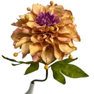 APRICOT: DAHLIA GARDEN (L)