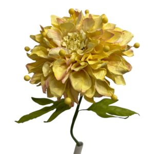 YELLOW : DAHLIA GARDEN (L)