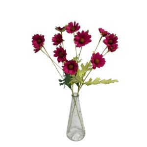 MAGENTA PINK : DAISY GARDEN