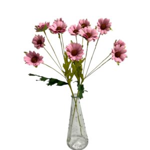 SOFT Pink : DAISY GARDEN