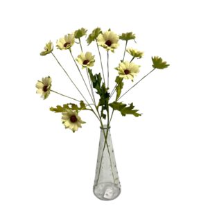 SOFT YELLOW : DAISY GARDEN