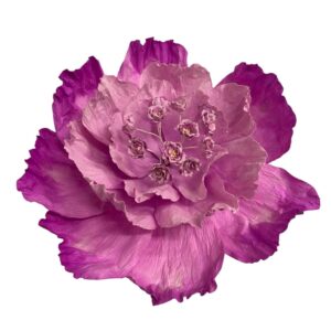 Purply mauve : PRIMROSE FLOWER