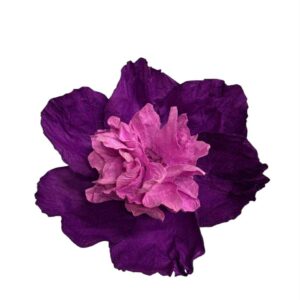 Purple : CAMELIA FLOWER