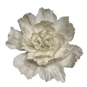 White : PRIMROSE FLOWER