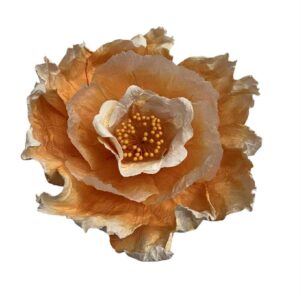 Apricot : Bell flower