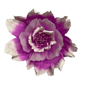 Neon purple : Bell flower