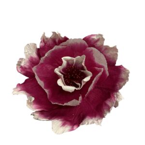 Magenta pink : Bell flower