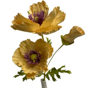 APRICOT : POPPY GARDEN