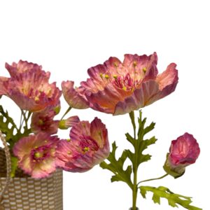 BEIGE : POPPY GARDEN