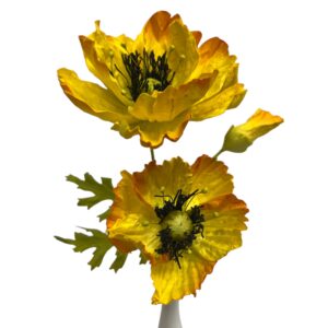 Yellow : POPPY GARDEN