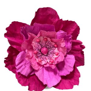 Pink : Poppy flower