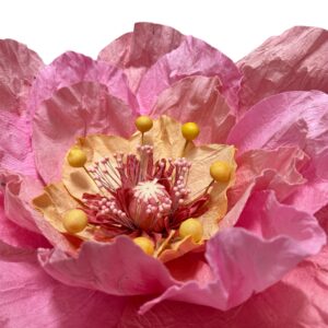 Salmon : Poppy flower