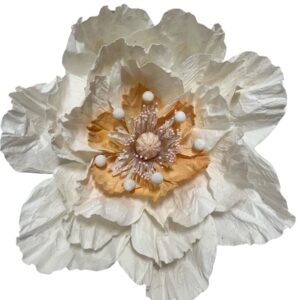 White : Poppy flower