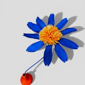 BLUE ECHINACEA FLOWER