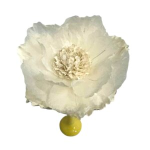 WHITE : HELLENIUM FLOWER