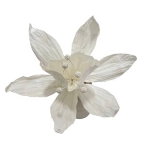 WHITE DAFFODIL FLOWER : XL