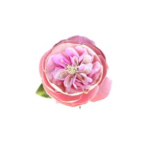 VANILLA PINK DAVID AUSTIN ROSE