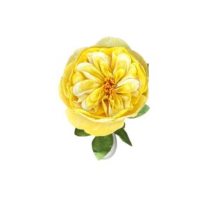 YELLOW DAVID AUSTIN ROSE
