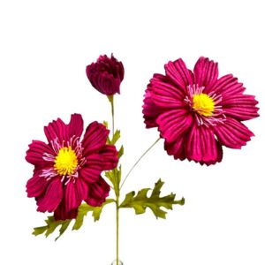 HOTPINK COSMO GARDEN