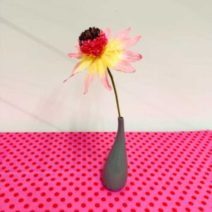 SALMON ECHINACEA GARDEN