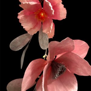 SALMON SILVER : FLORET CHARM LIGHT